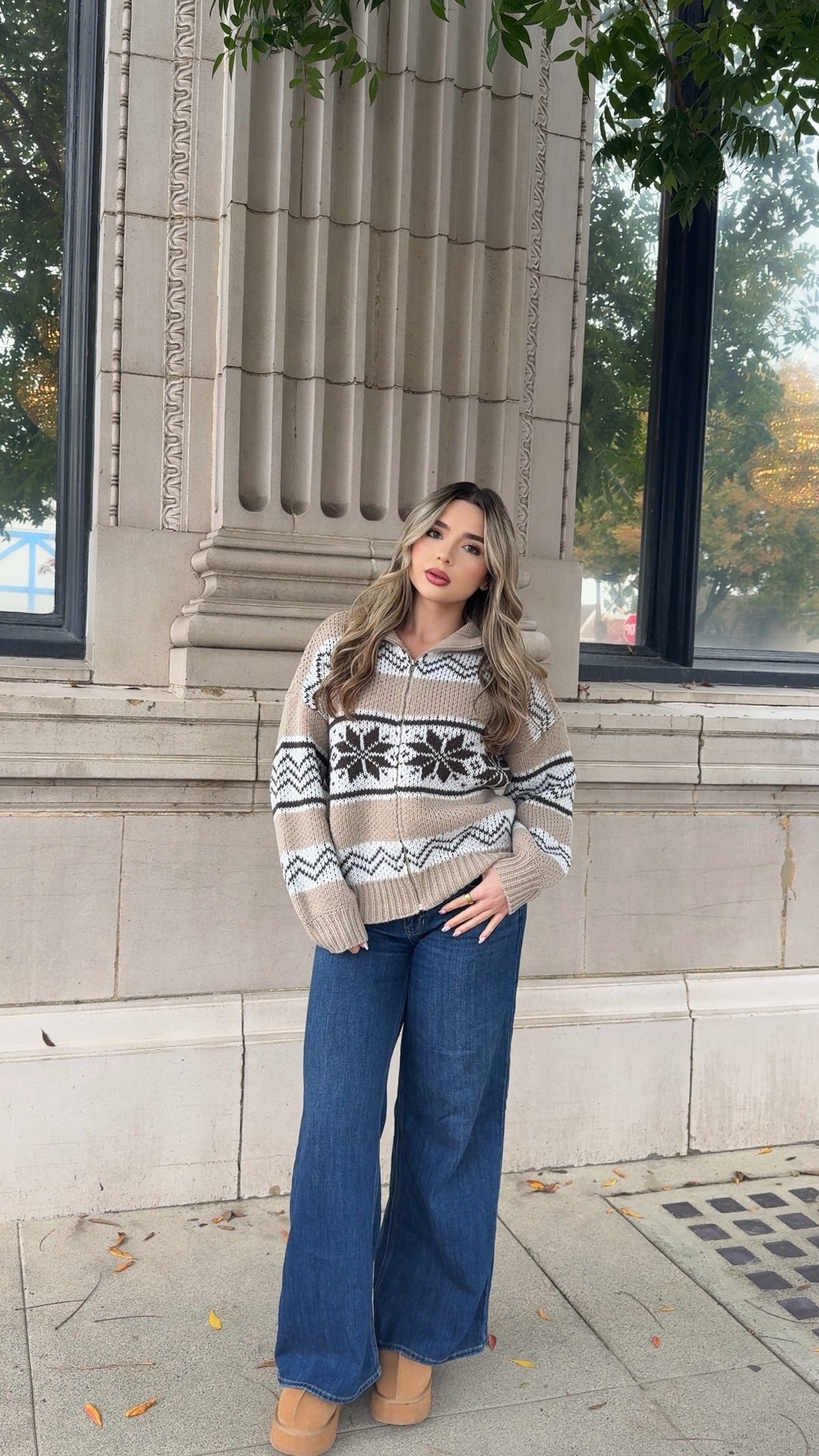 Nordic Zip Up Cardigan - Brown