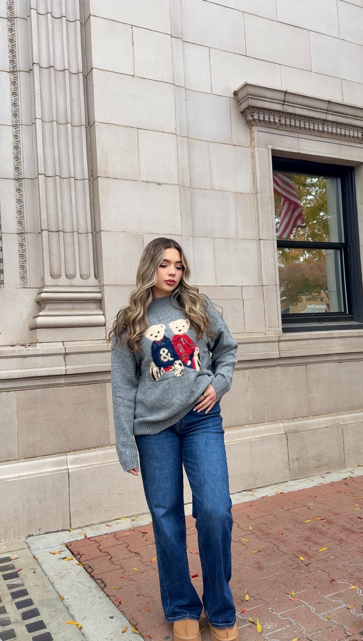 Teddy Bear Pull Over Sweater Knit